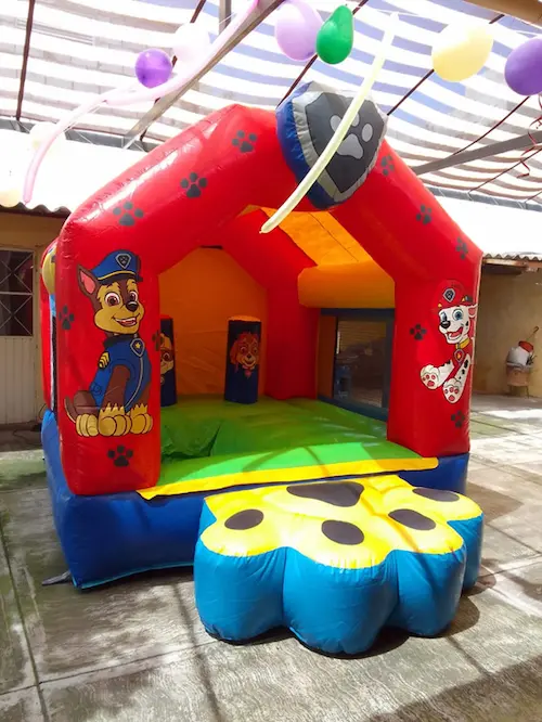 Acuático Paw Patrol