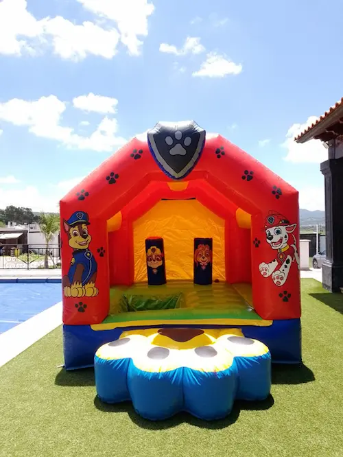 Acuático Paw Patrol