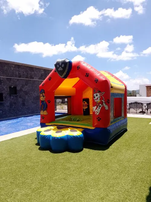 Acuático Paw Patrol -Q