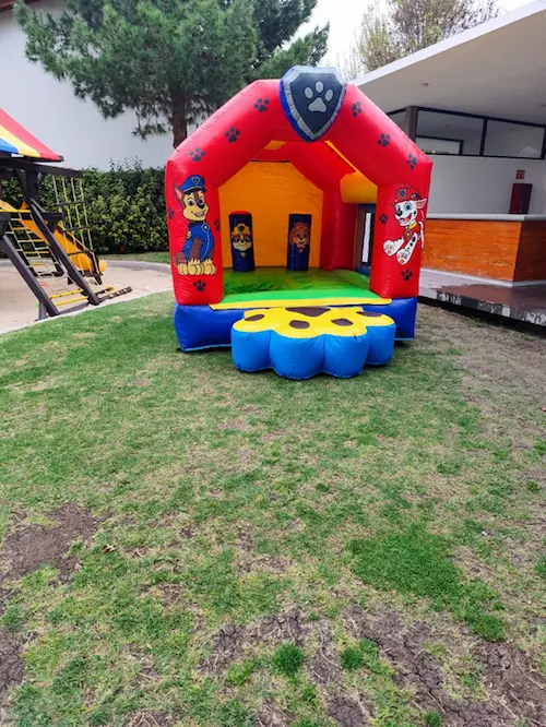 Acuático Paw Patrol