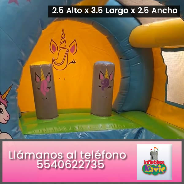 Inflable Acuatico Pony
