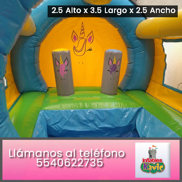 Inflable Acuatico Pony