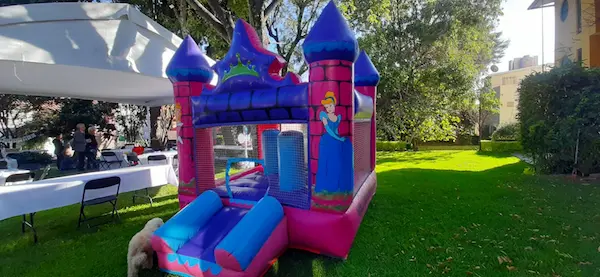 Catillo de Princesas Disney