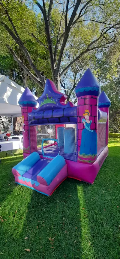 Castillo de Princesas Disney