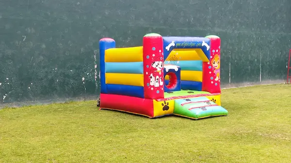 Patrulla canina (Paw Patrol)