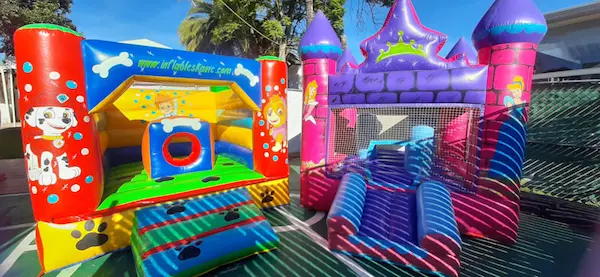 Patrulla canina (Paw Patrol)