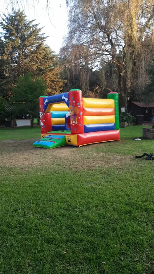 Patrulla canina (Paw Patrol)