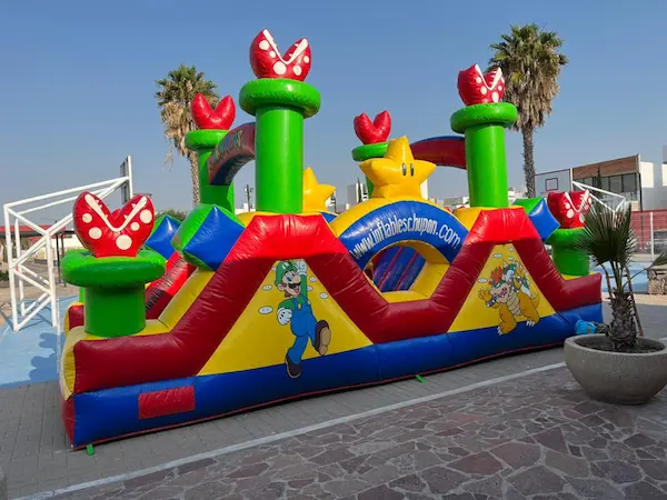 Castillo Mario Bross y Bowser