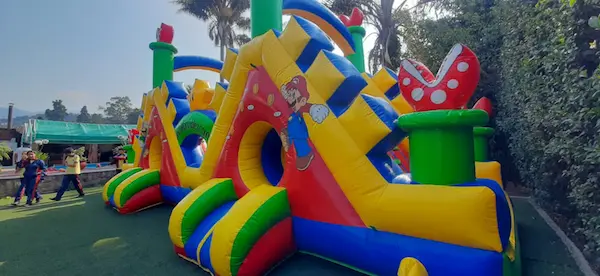 Castillo Mario Bross y Bowser